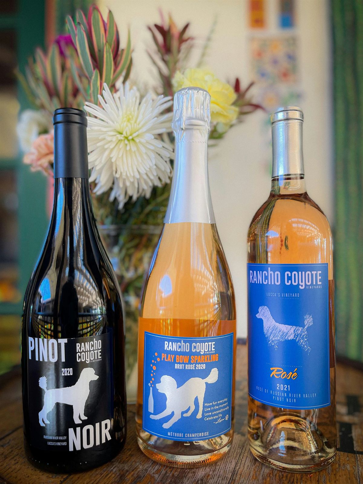 Sip & Paint Fiesta Wine Wednesdays