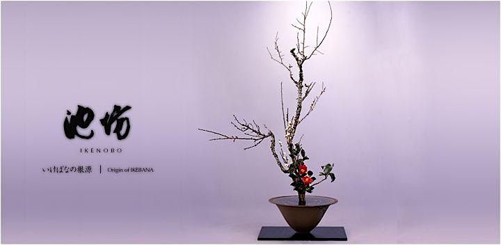 Invitation to Ikenobo Ikebana - Introductory Class 2 Boulder