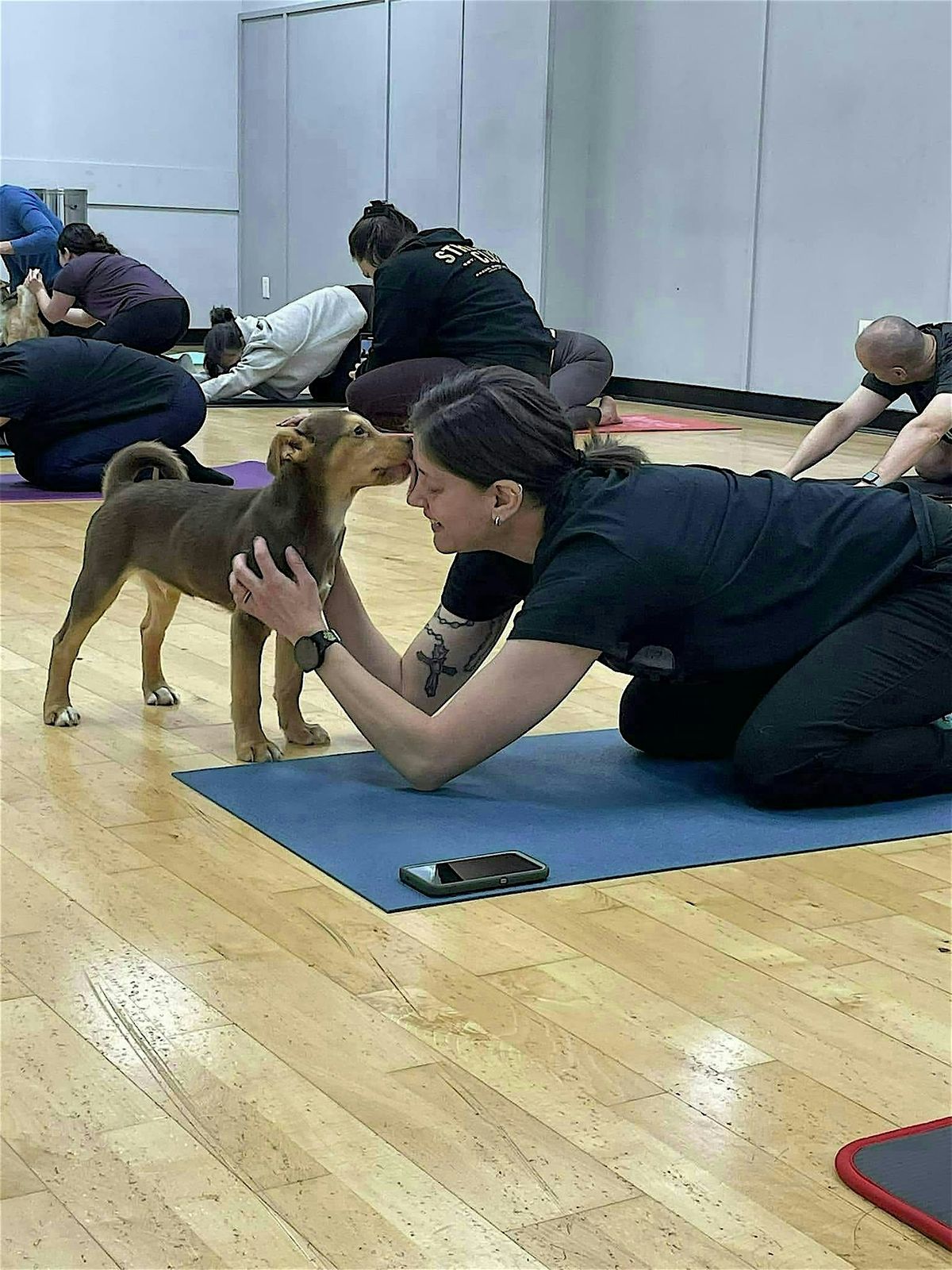 DNYP U - Downward Dogs at Stockton University!