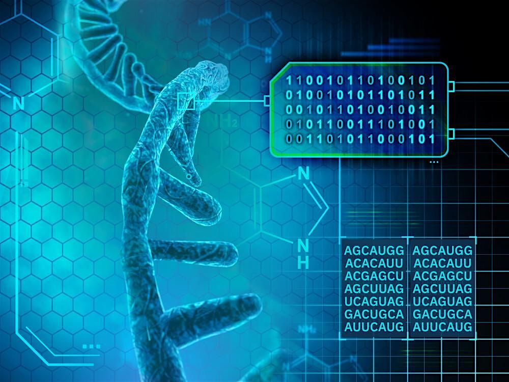 Big Science mit Big Data: Einblicke in die Grundlagenforschung am EMBL
