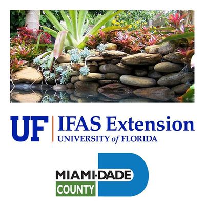 UF\/IFAS Extension Service Miami-Dade County- Florida Yards and Neighborhoods Program