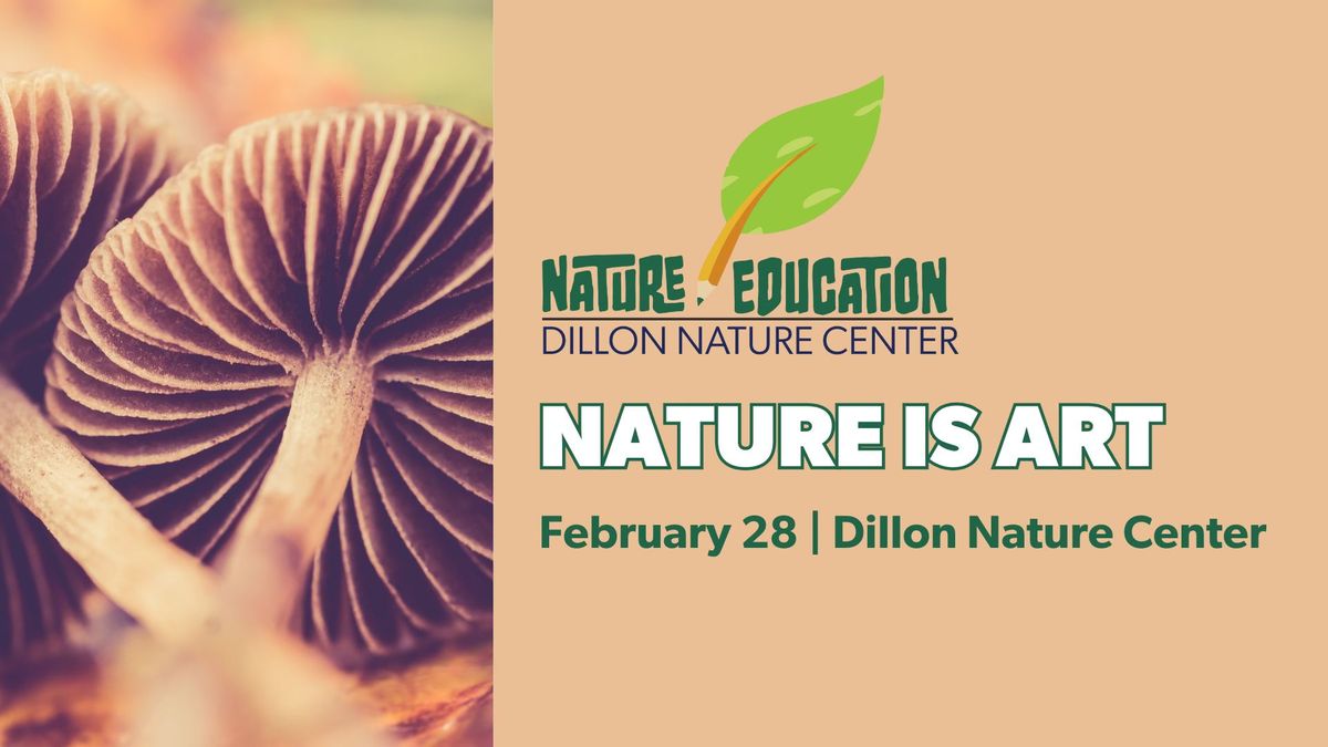 Nature Education Class: Nature As Art