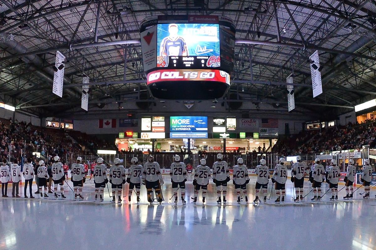 Niagara IceDogs at Barrie Colts at Sadlon Arena