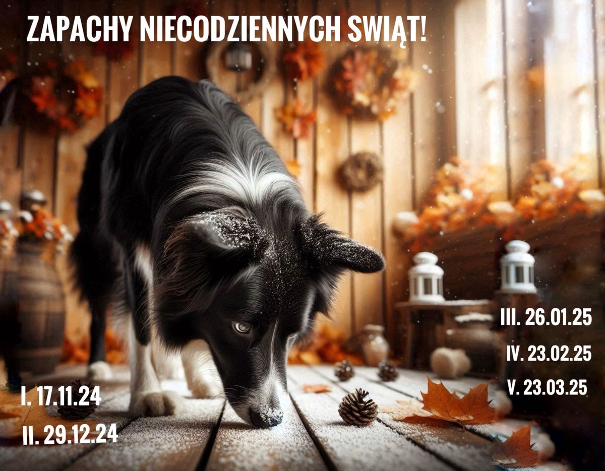 Zapachy niecodziennych \u015bwi\u0105t- Koszali\u0144ski cykl treningowych zawod\u00f3w Nosework 