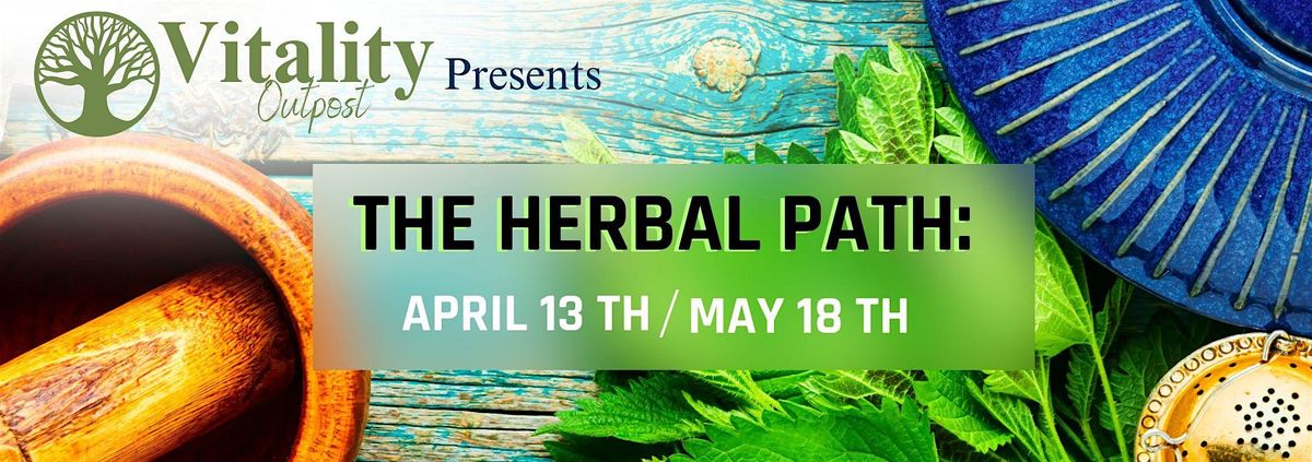 The Herbal Path: Wild Plant Medicine - part 1