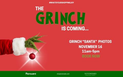 GRINCH SANTA PHOTOS