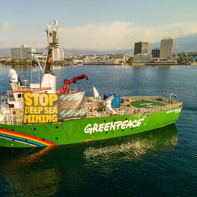 Greenpeace Denmark Volunteers