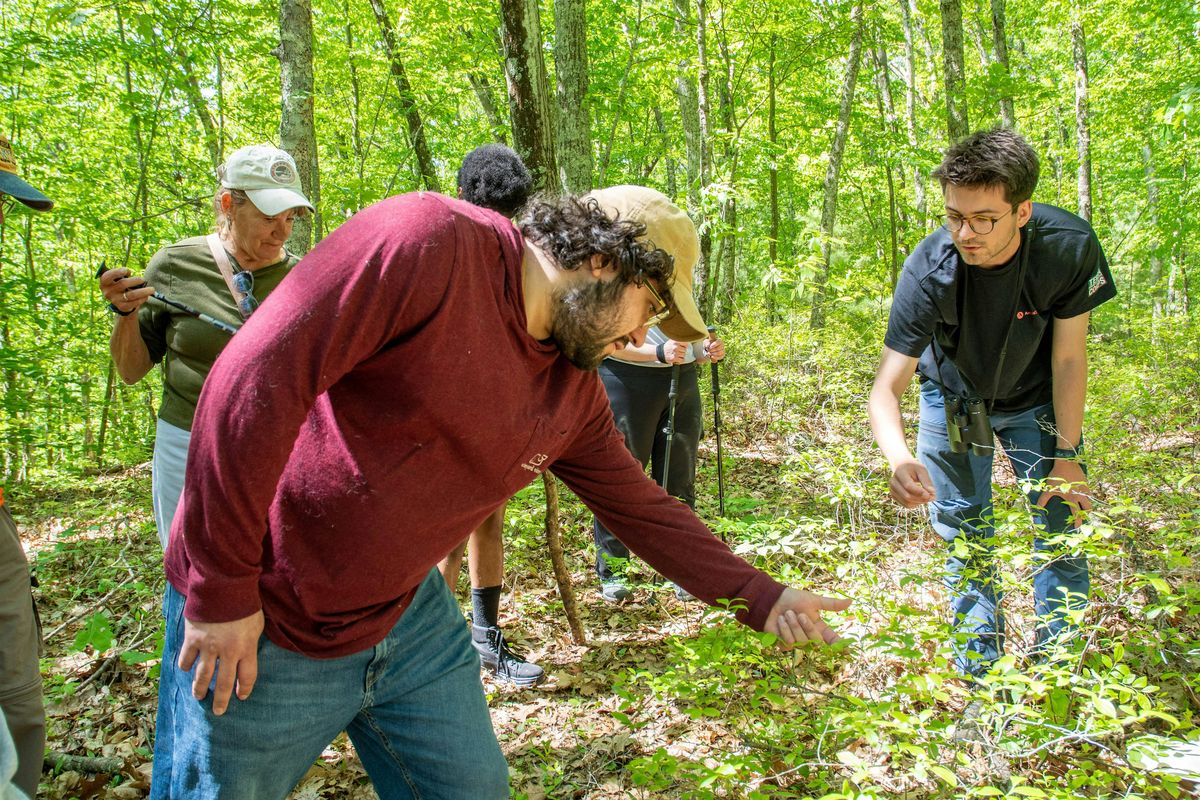 Manton Heights Tree Planting