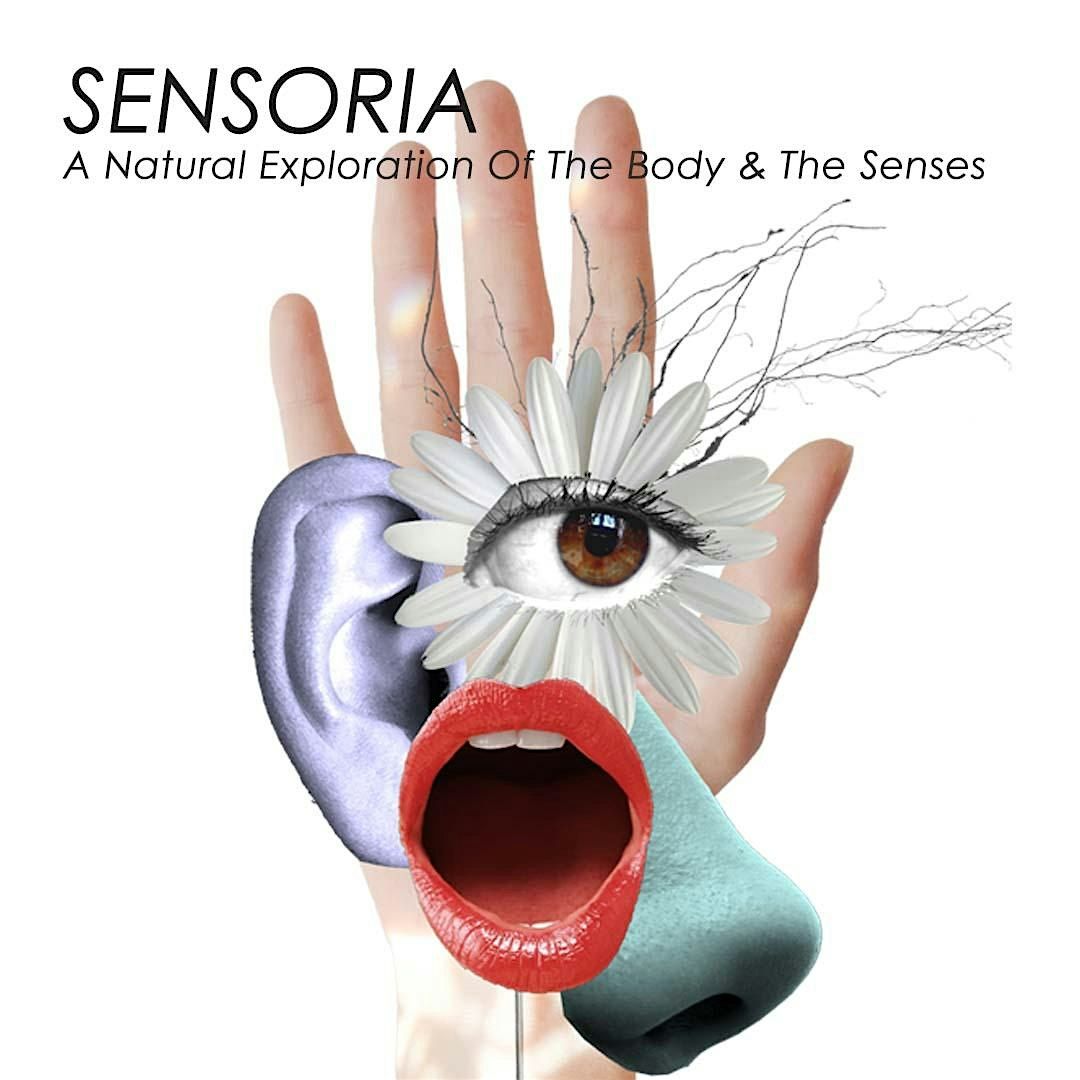 Sensoria: Light, Color & Illusion: Visual Perception (Session IV)