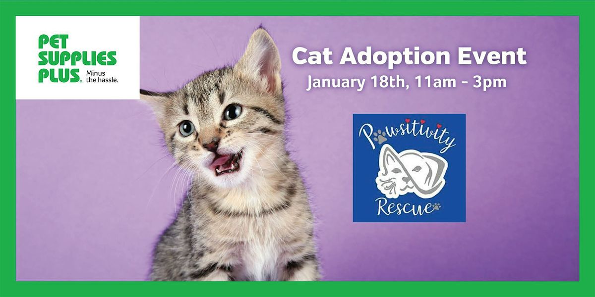 Cat Adoptions with Pawsitivity Rescue