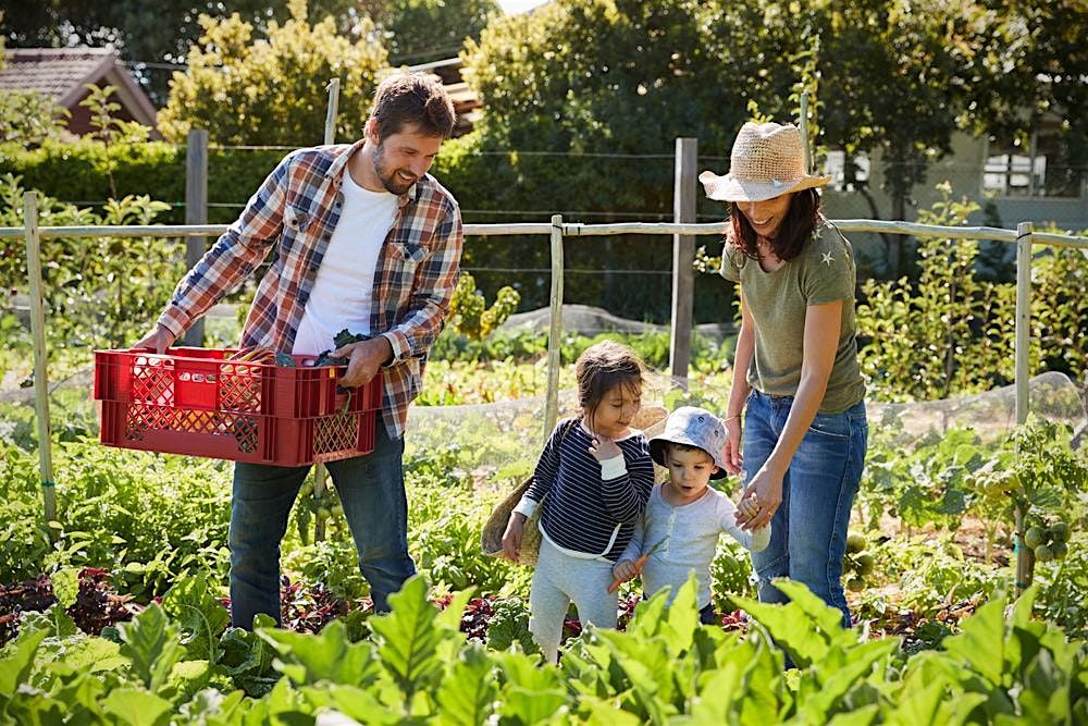 Thinking of Homesteading?  Producing ALL Your Food on Just 2 Acres!