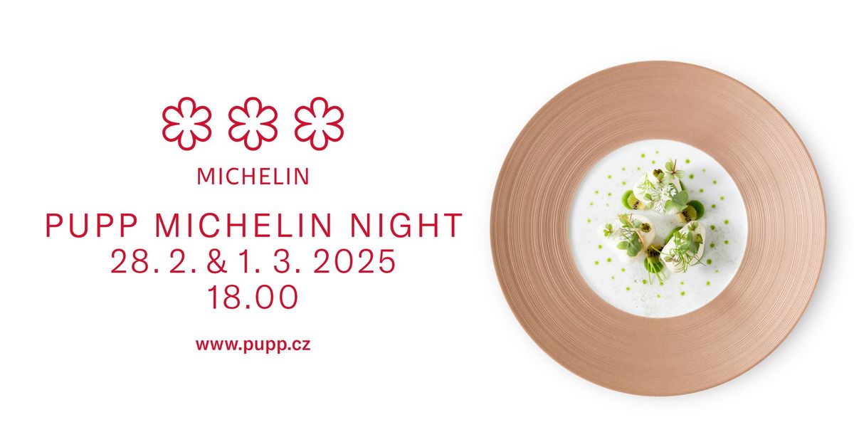 Pupp Michelin Night