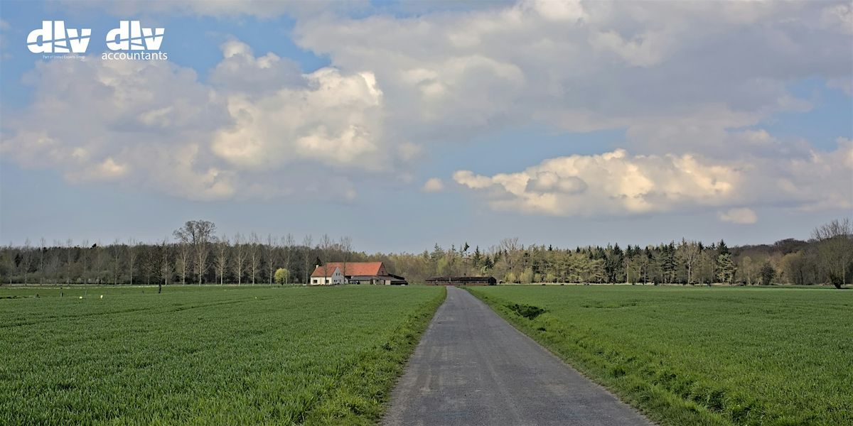 Inforonde DLV & DLV Accountants |  Eeklo