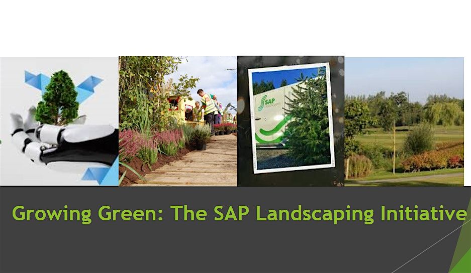 Growing Green: SAP Landscaping