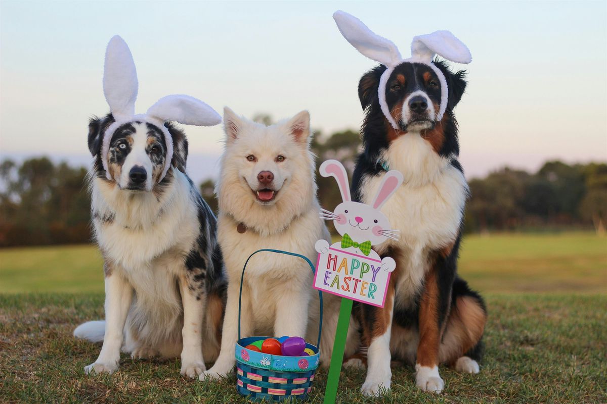 Doggy wagtastic Easter meet-up