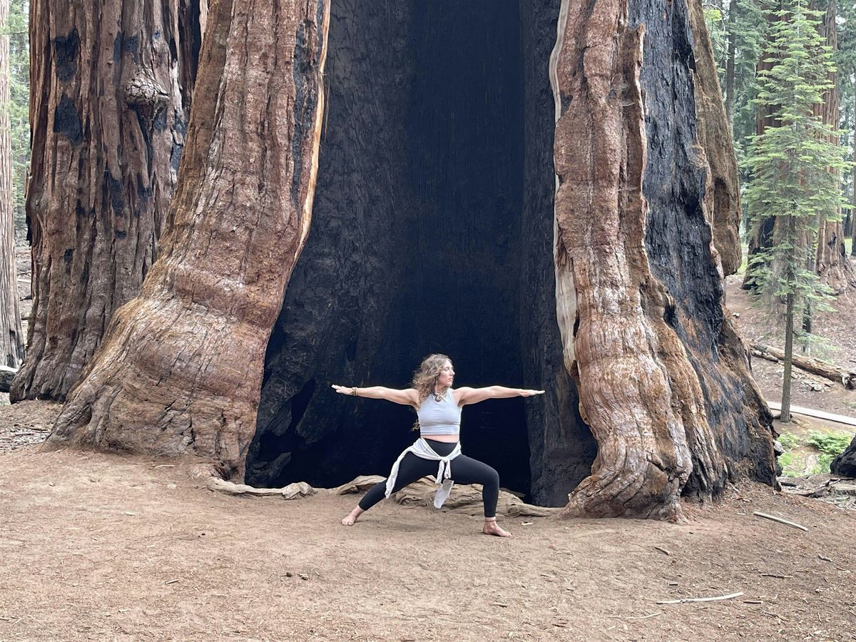 How to Begin Ashtanga Yoga