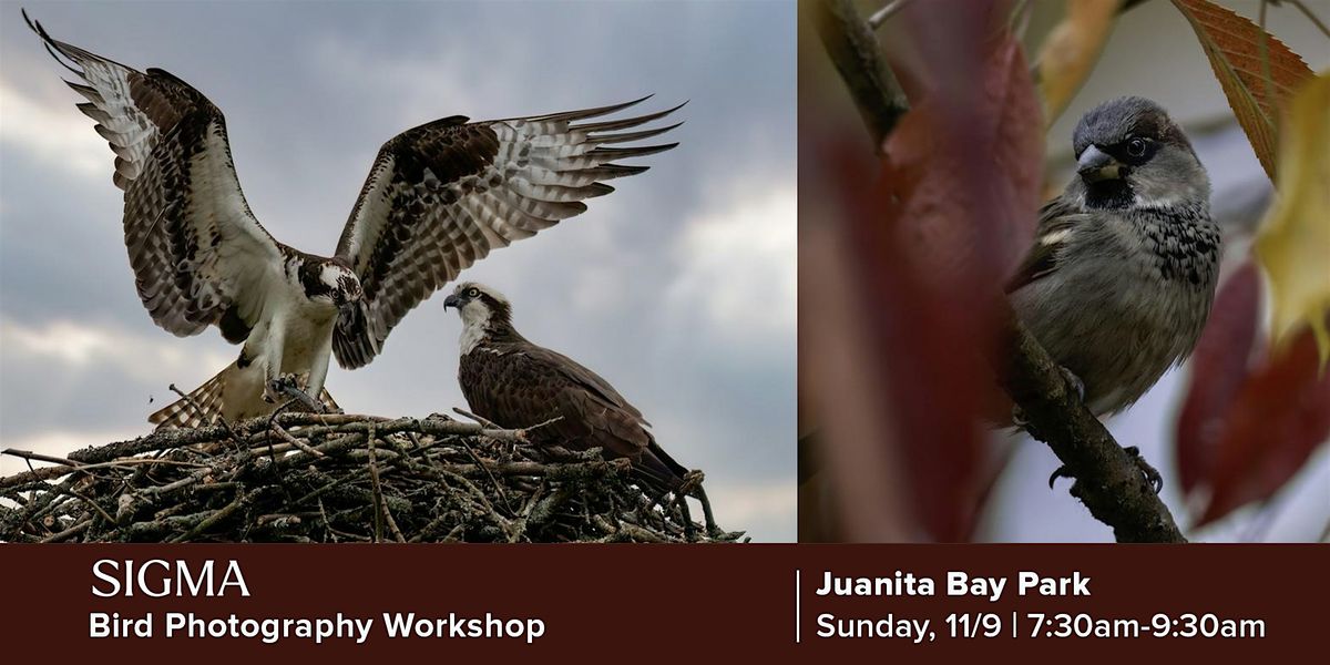 Juanita Bay Park Bird Photography Workshop w\/SIGMA