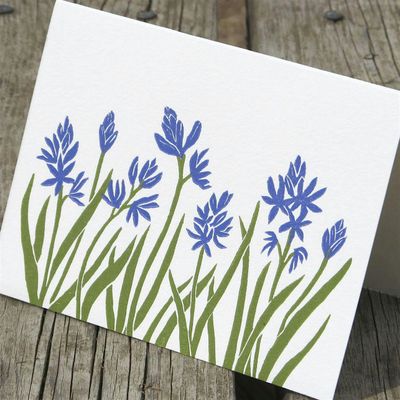 Blue Camas Press