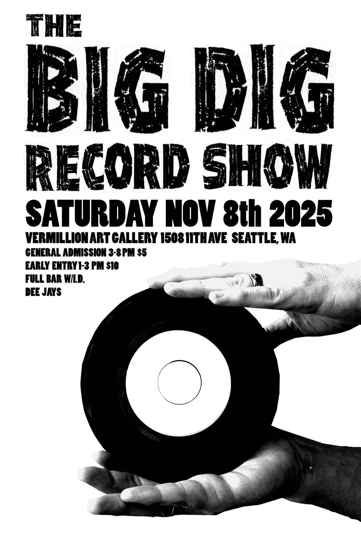THE BIG DIG RECORD SHOW