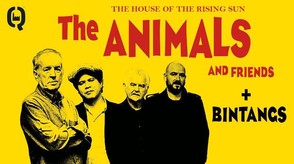 The Animals & Friends (UK) + Bintangs \/ Q-Factory Amsterdam