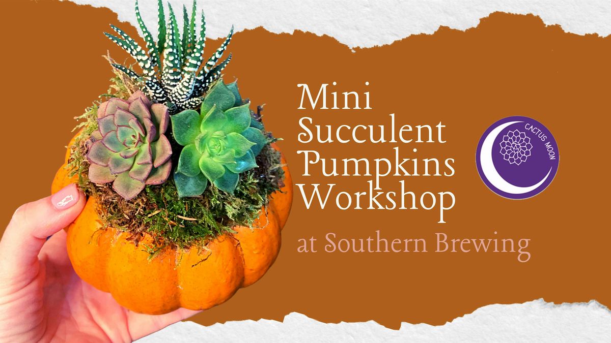 Succulent Pumpkin Workshop at Southern Brewing
