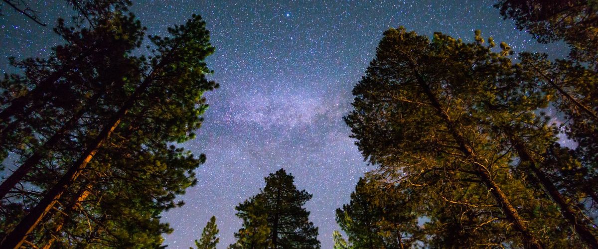 Dark Skies Adventure Walk 