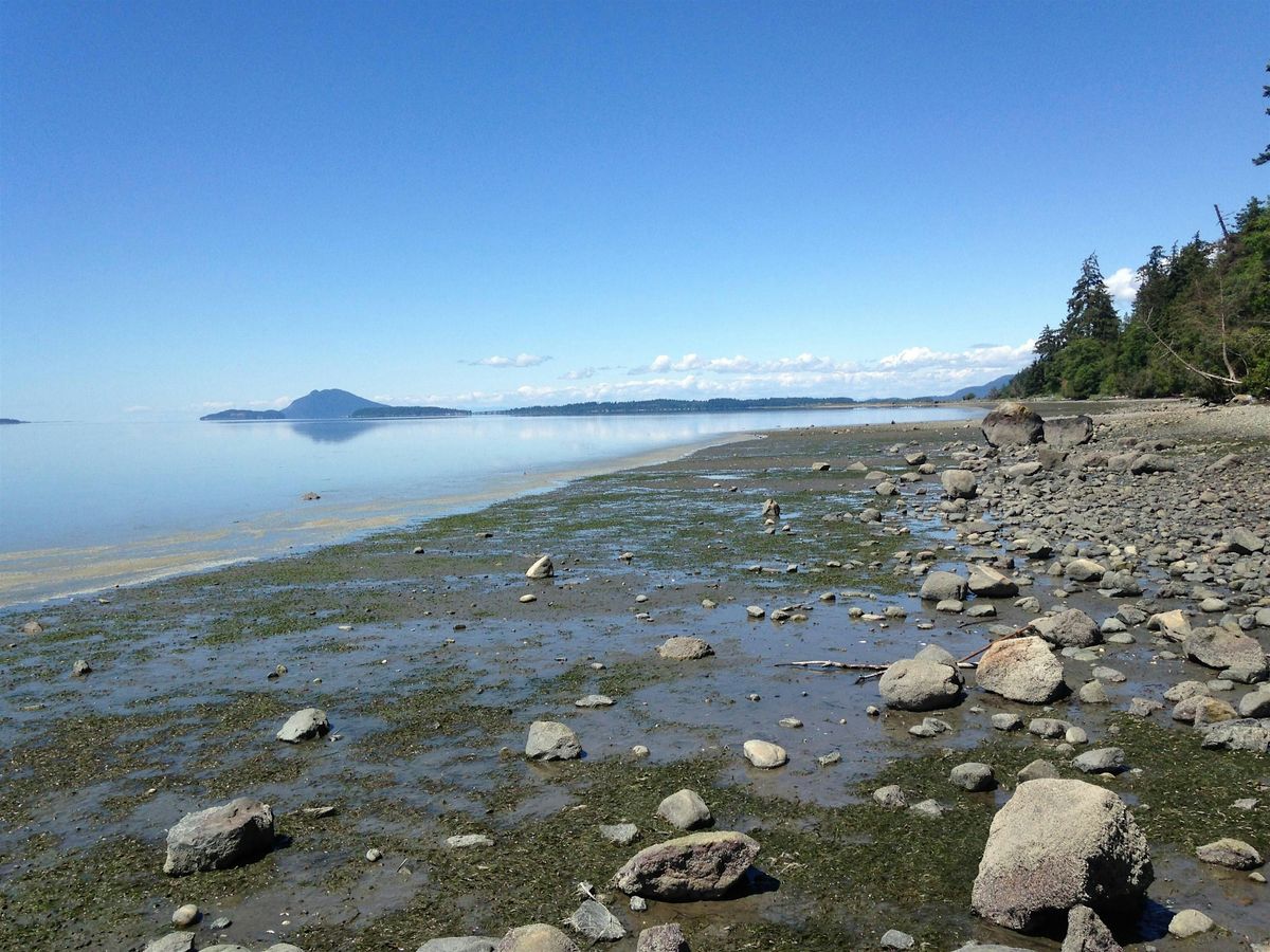 Estuary!: Mini Explorers (ages 3-5)