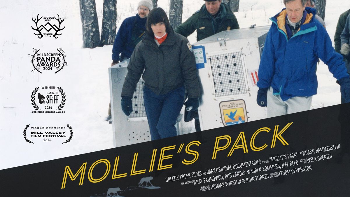 MOLLIE'S PACK -- Grizzly Creek Films Premiere with Guest Panel