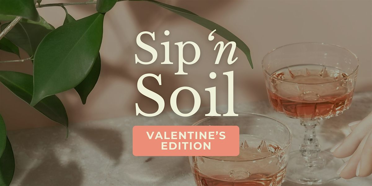 Sip 'n Soil | Houseplant Arrangement Valentines Edition