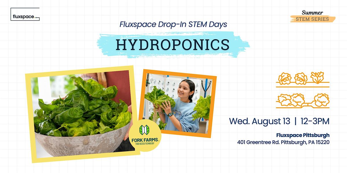 Summer STEM Series: Hydroponics