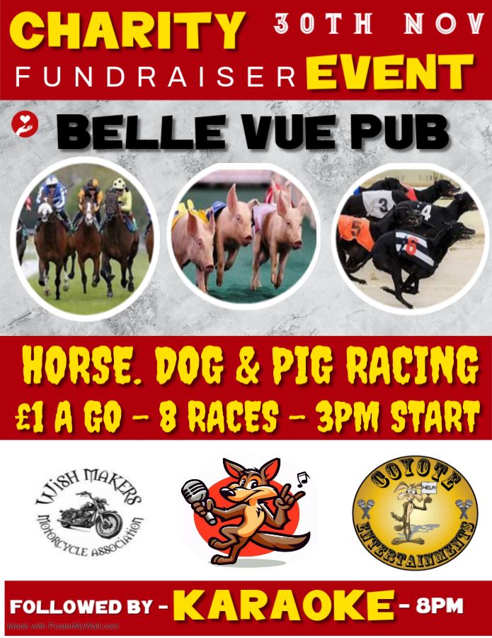 Charity Fundraising Event - Virtual Racing Followed By Karaoke