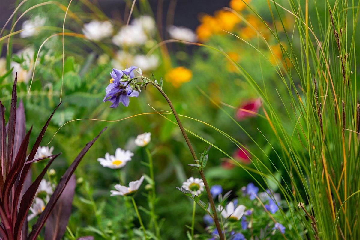 Otago Polytechnic Plant Sale and Open Day