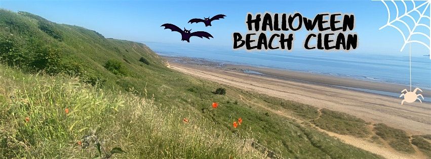 Halloween Beach Clean - Crimdon