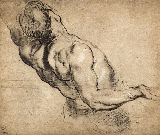 Figure Drawing Foundations