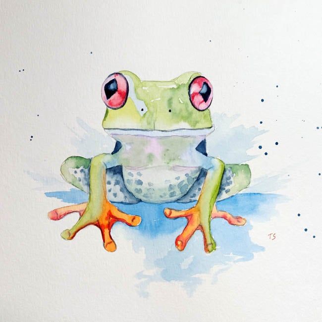 Watercolour Art Class Frog