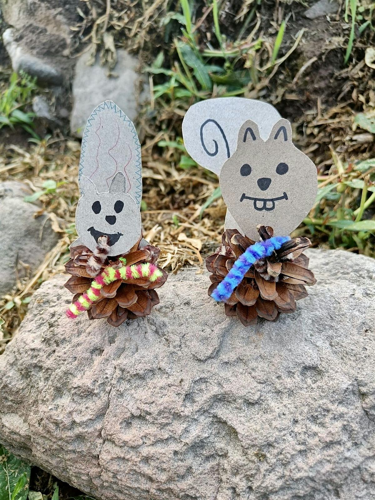 Cumberland Wood Nature Trail