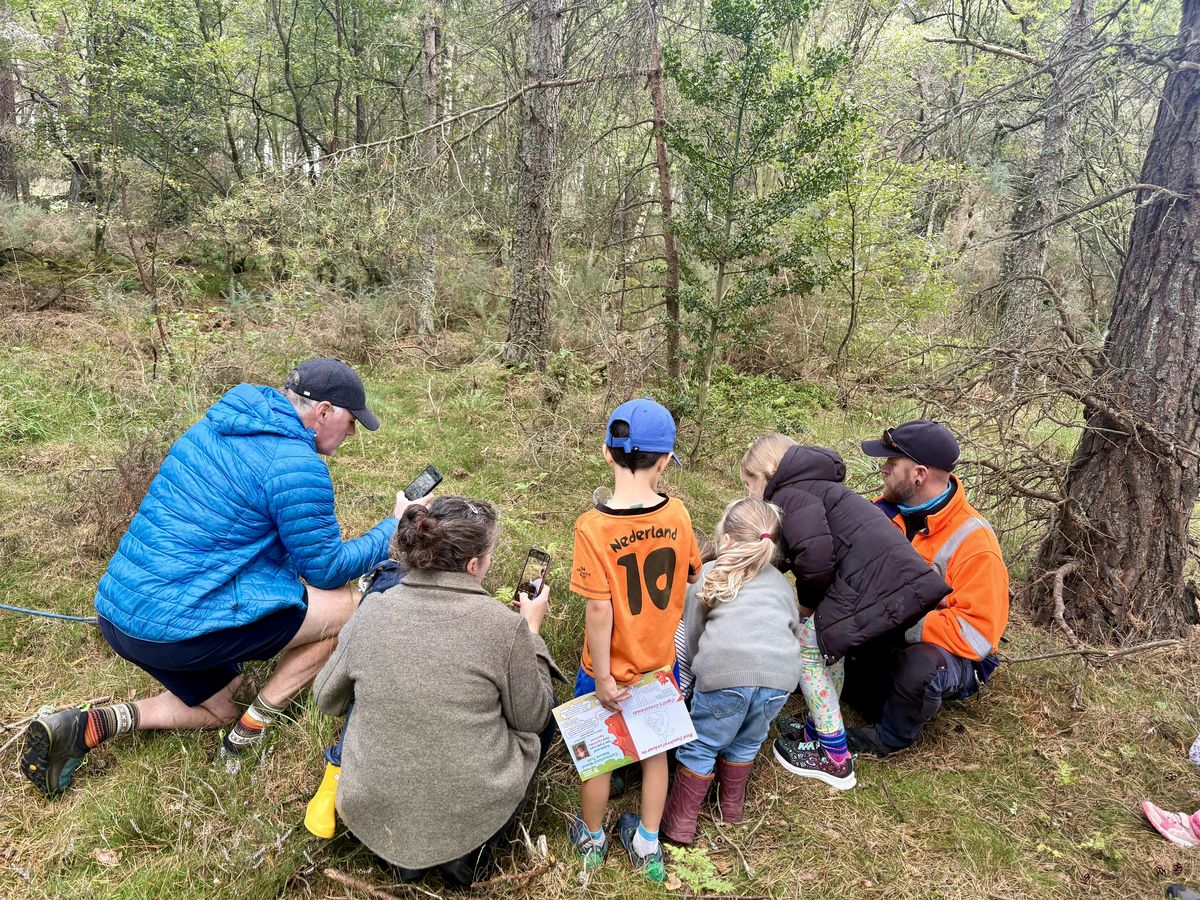 Cumberland Wood Nature Trail
