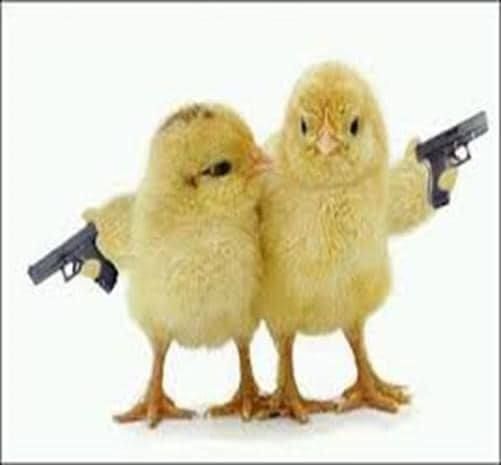 Chicks with Guns