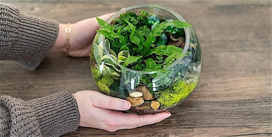 Make-n-Take : Terrariums at Mahoney's Brighton