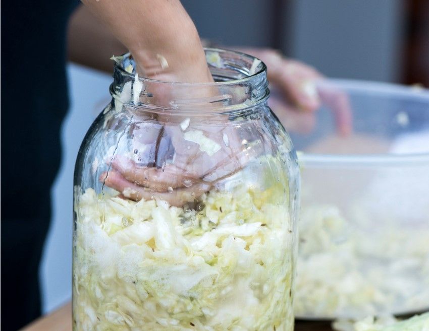 Fermenting Sauerkraut