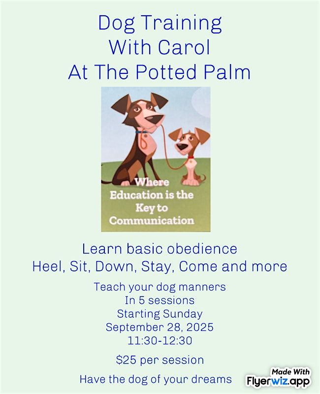 Dog Training With Carol