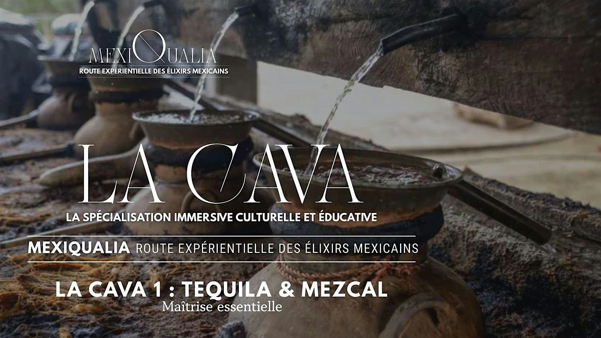 LA CAVA 1 : TEQUILA & MEZCAL \u2014 Ma\u00eetrise essentielle
