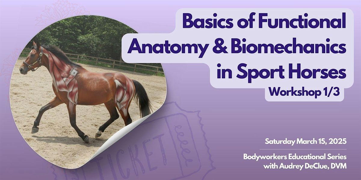 1\/3:  Basics of Functional Anatomy & Biomechanics in Sport Horses