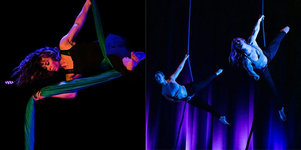 Adult Silks & Rope Showcase