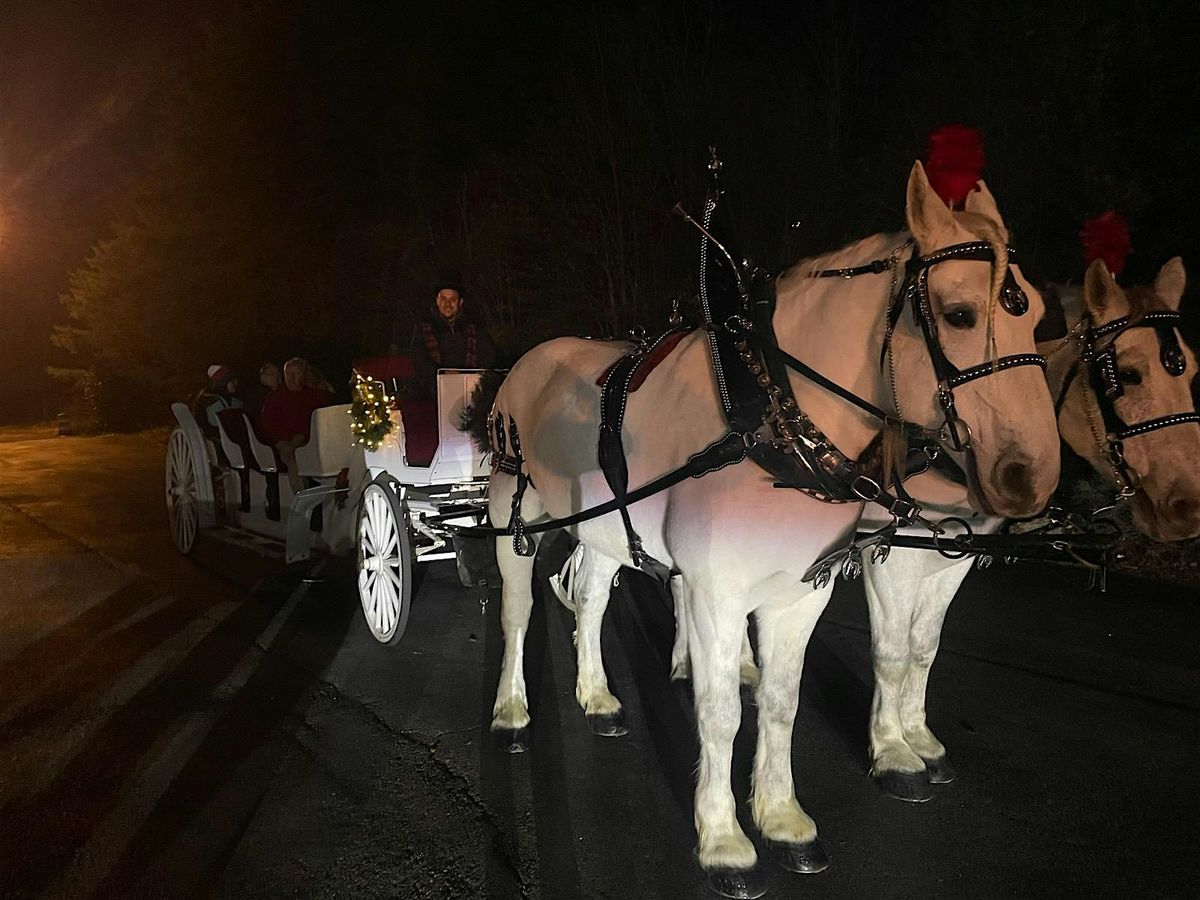 Holiday Horse Drawn Carriage Ride @ Miracle on Hwy 16