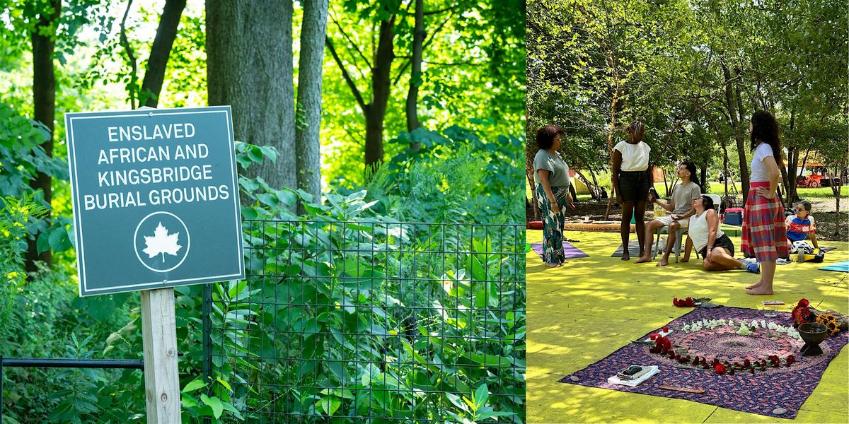 REIMAGINING: In Transition