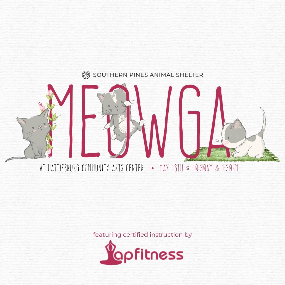 Meowga Kitten Yoga