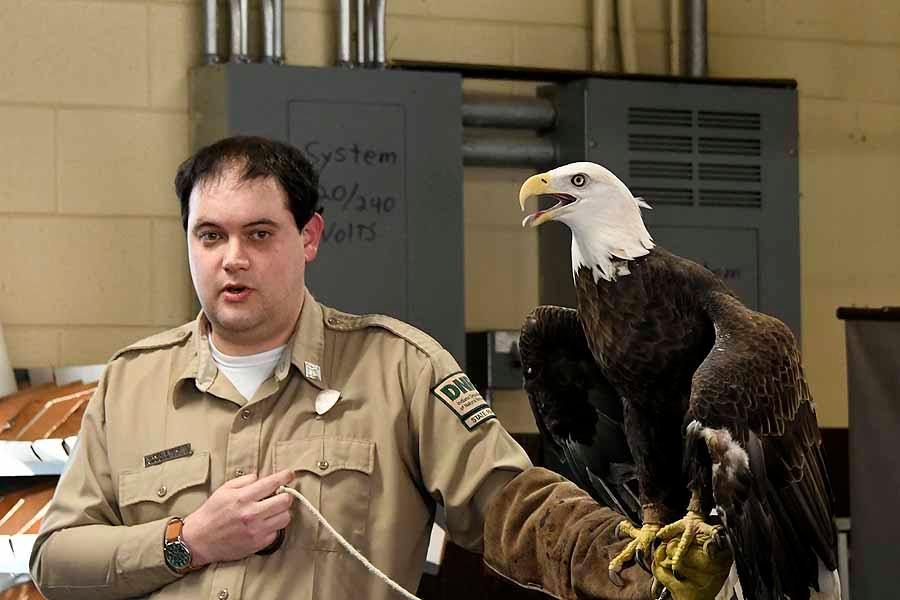 EOM 2025: LIVE Bald Eagle Show #2