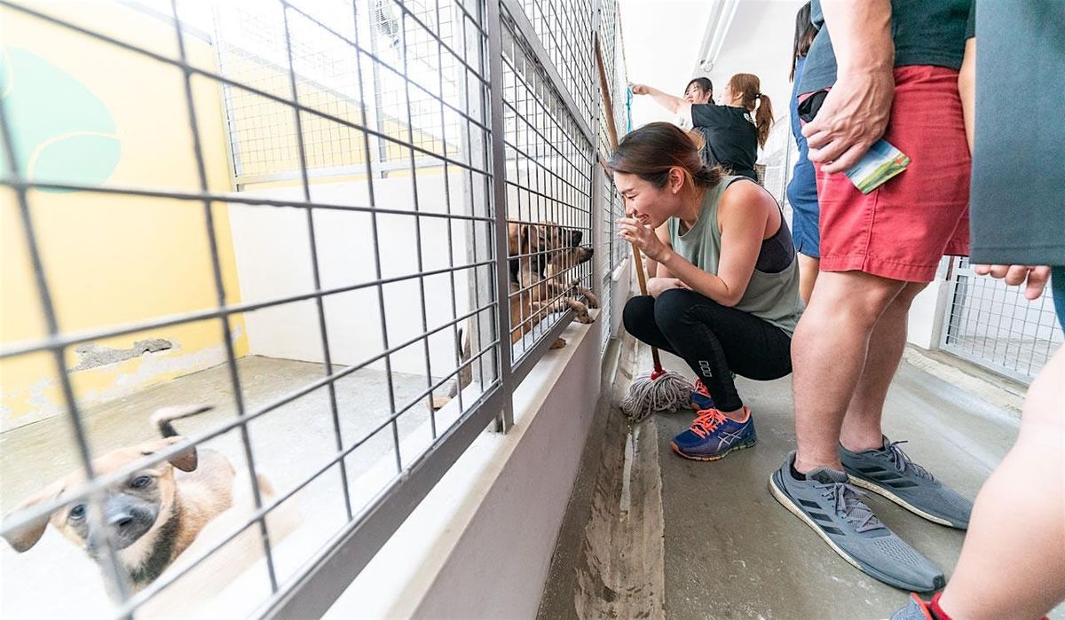 SOSD Shelter Tour Nov 2025