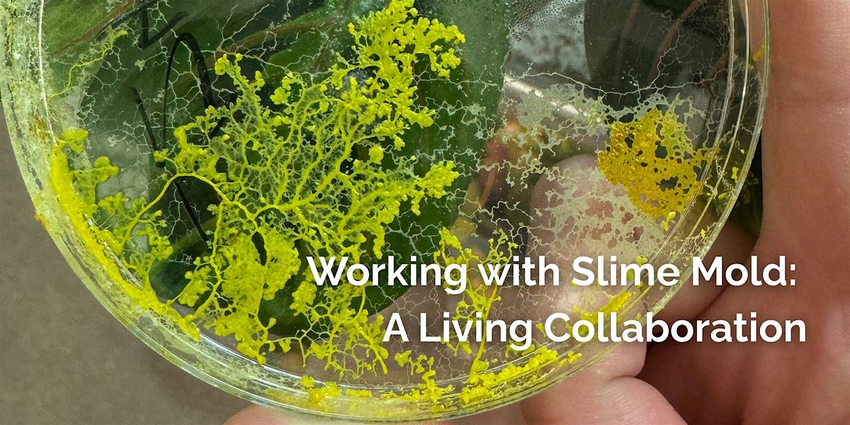 Working with Slime Mold: A Living Collaboration
